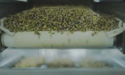 Tiryaki Agro, fıstık kapasitesini ikj kat artırdı.
