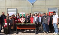 Türk Kızılay Sur Şubesince serada yetiştirilen sebze fideleri çiftçilere ücretsiz dağıtıldı