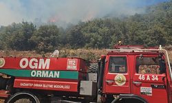 Gaziantep'te çıkan orman yangını söndürüldü