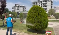 Adıyaman’da park ve yeşil alanlarda ilaçlama