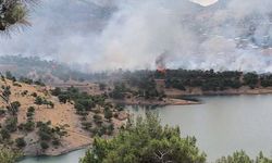 Adıyaman’da orman alanda korkutan yangın