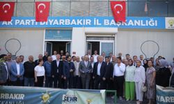 Diyarbakır İl Başkanı İler'den sürece ilişkin açıklama