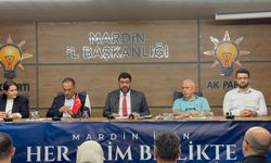 Mardin'de Türkiye Yüzyılı vurgusu: Bayraklarla birlik mesajı