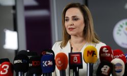 DEM Parti'den silah bırakma töreni açıklaması