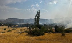Lice 'de ormanlık alanda çıkan yangına müdahale ediliyor