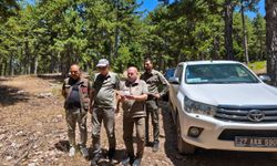 Doğu Koruma ve Milli Parklar'dan Huzurlu Yaylasında inceleme