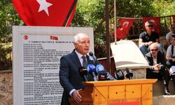 Ala:   Türkiye, ortak geleceğimize emin adımlarla yürüyor