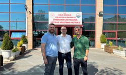 Diyarbakır'da bir hastaya epilepsi pili ameliyatı yapıldı