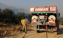 Gaziantep'te çıkan orman yangınına müdahale ediliyor