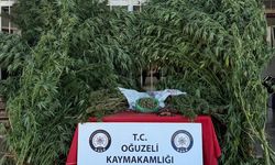 Gaziantep'te madde operasyonunda 3 zanlı yakalandı