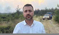 Tekirdağ'da anız yangını ormana sıçradı