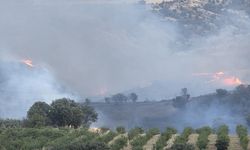 Kahta’da tarlada korkutan yangın