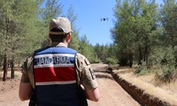 ormanlar yangınlara karşı jandarma tarafından denetleniyor