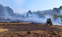 Kocaeli'de tarım arazisinde çıkan yangın söndürüldü
