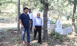 Siirt’te köylüler endemik adaçayı için mezarlıkta nöbette