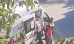 Köpeklerin saldırdığı yaşlı adam hastaneye kaldırıldı