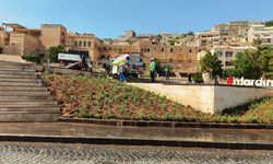 Mardin'de bazı noktalara lavanta dikildi