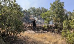 Mardin'de ormanlık alanda çıkan yangın kontrol altına alındı
