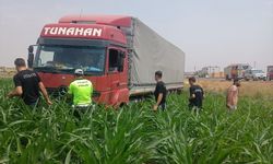 Mardin Kızıltepe'de yoldan çıkan tır tarlaya girdi