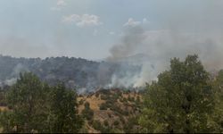 MHP Gerger’den Fidan Seferberliği