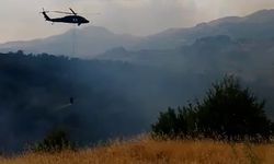 Orman yangını helikopter desteğiyle kontrol altına alındı