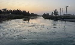 Şanlıurfa'da Kanala Kapılan Kişi 3 Gündür Kayıp