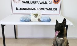 Şanlıurfa'da madde operasyonunda 3 şüpheli yakalandı