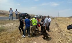 Siirt'te devrilen otomobilin sürücüsü yaralandı