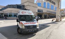 Siirt’te hayvan otlatma kavgası: 4 yaralı
