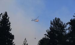 Yangınlarda son durum: İki ilde tam kontrol, Hatay'da kısmen