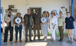 Akyatan’da 20 Yılda 270 Bin Kaplumbağa Denize Ulaştı