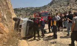 Besni'de şarampole devrilen kamyonetin sürücüsü yaralandı