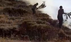 Adıyaman Koçali Köyü'nde orman yangını helikopter desteğiyle söndürüldü  - Videolu Haber