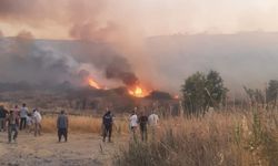 Adıyaman’da Anız Yangını Bahçelere Sıçradı: Havadan ve Karadan Müdahale Edildi  - Videolu Haber