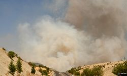 Adıyaman'da ormanlık alanda çıkan yangına müdahale ediliyor