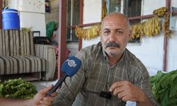 Adıyamanlı tütün üreticileri mağdur: ‘Hem alım gücümüz düştü hem de tütünümüze göz koyuyorlar’  - Videolu Haber