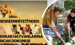 Besni Emniyeti’nden Sokak Hayvanlarına Sıcak Dokunuş
