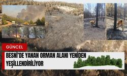 Besni’de Yanan Orman Alanı Yeniden Yeşillendiriliyor