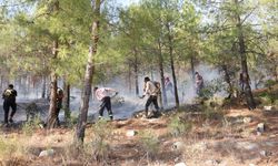 Besni ve Tut’ta geniş çaplı yangın: 200 hektar alan kül oldu, fıstık ve incir bahçeleri zarar gördü 