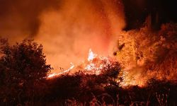 Besni'de 4 Noktada Yangın: Müdahaleyle Kontrol Altına Alındı