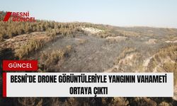 Besni’de Drone Görüntüleriyle Yangının Vahameti Ortaya Çıktı