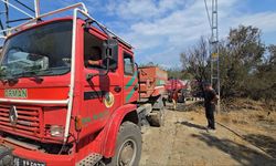 Bursa Mudanya’da orman yangını söndürüldü