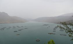 Çelikhan’a yağan yağmur yüzen adalara hayat verdi
