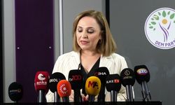 DEM Parti Sözcüsü Doğan, komisyondaki olası yeni temsile ilişkin açıklama yaptı 