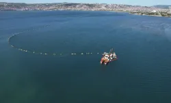 Dip temizliği sonrası balık sayısında artış kaydedildi