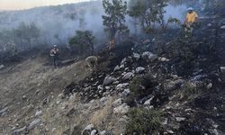 GÜNCELLEME - Diyarbakır'da ormanlık alanda çıkan yangın söndürüldü