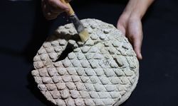Harran'da baklava dilimi desenli tarihi ekmek kalıbı bulundu