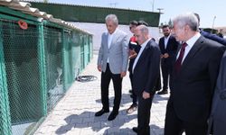 İçişleri Bakan Yardımcısı Aktaş, Mardin'de ziyarette bulundu