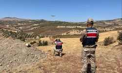 Kilis’te kayıp hayvanlar bulundu