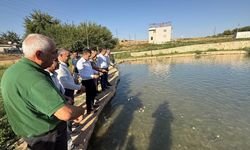 Kozluk Kaymakamı Böçkün köylerde incelemelerde bulundu